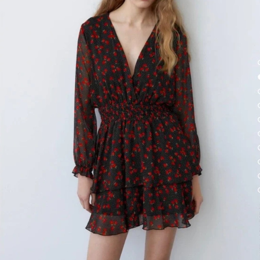 NWT Zara Polka Dot with Rose Print Dress